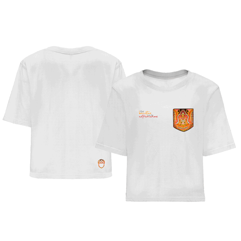 mockup presentacion DOS